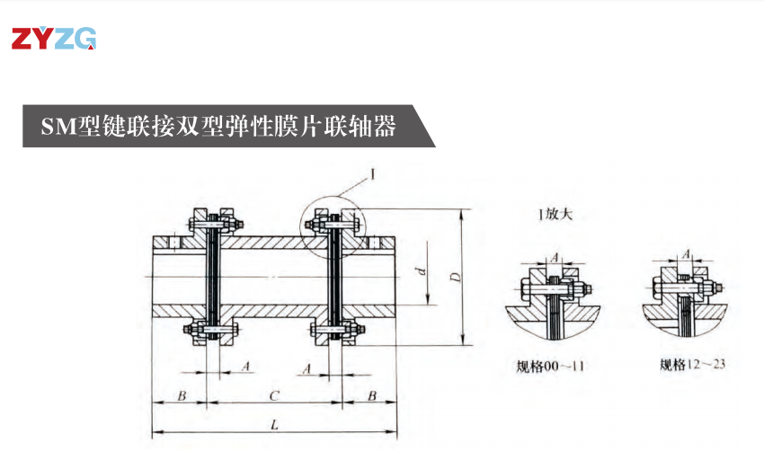 SM型鍵連接雙型彈性星空体育网站赞助莱切